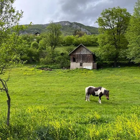 Prole Apartman Sipovo