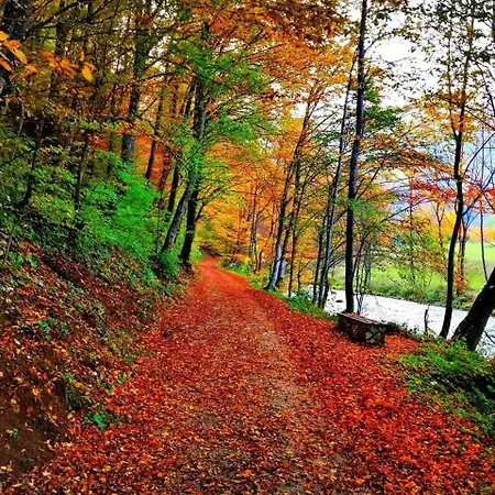 Prole Apartman Sipovo